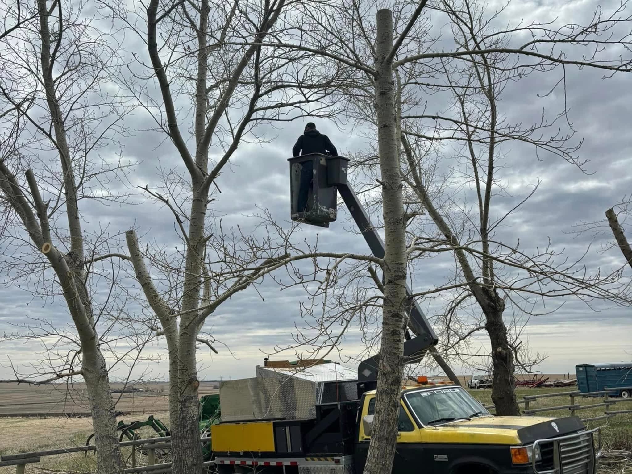 photo Spikes Tree Hugging Services