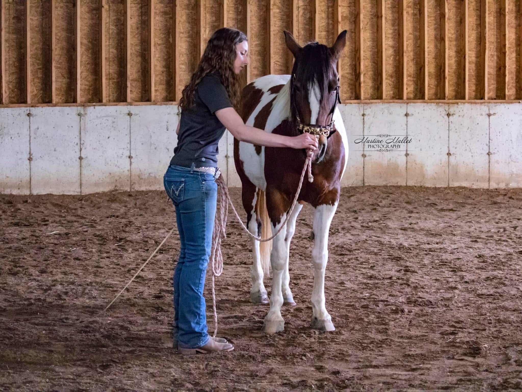 photo Tomorrow Equine