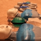 LIFESAVER YEG LTD. CPR and First Aid Training - First Aid Courses