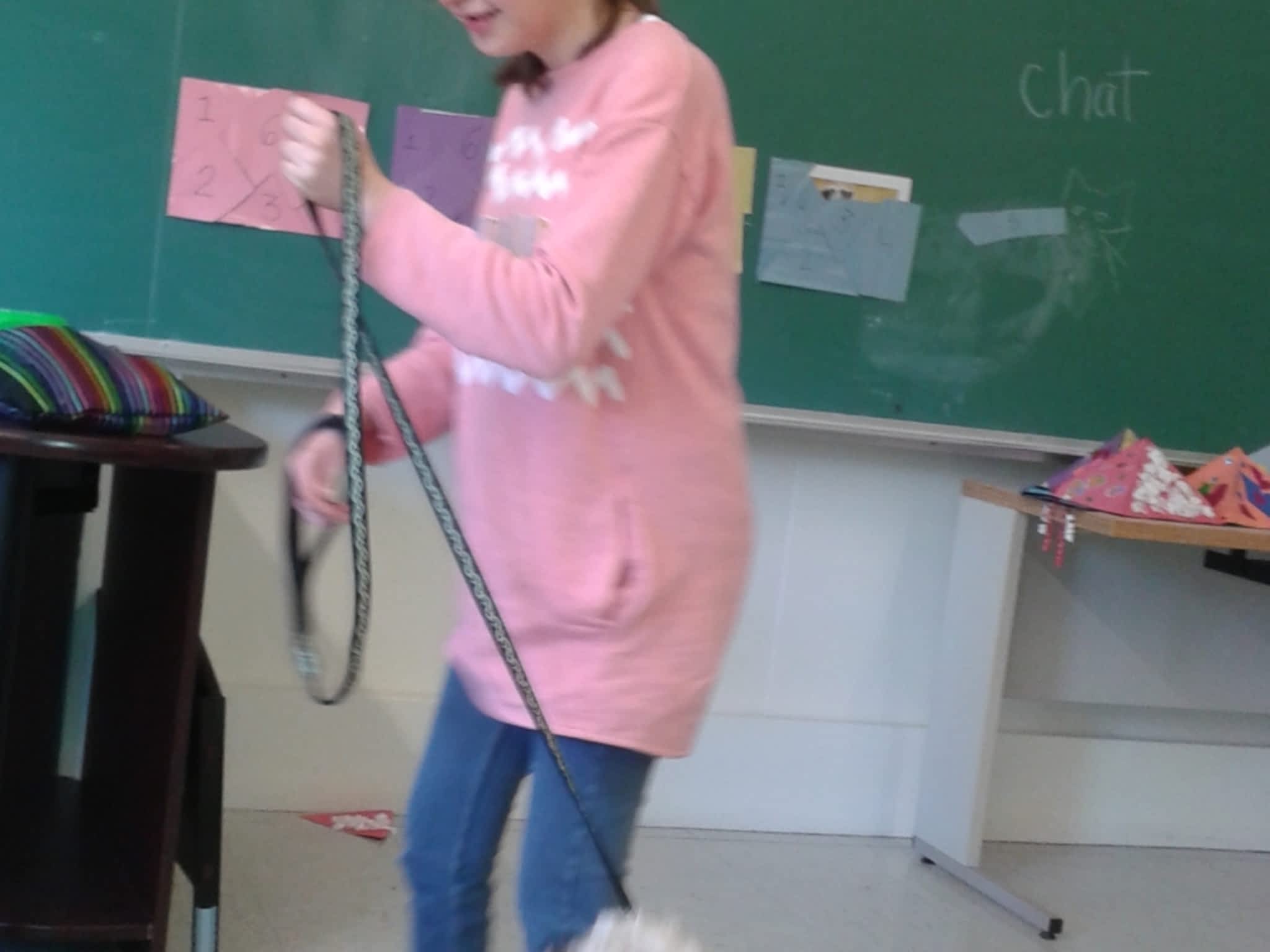 photo Services d'Interventions Mélissa Robitaille