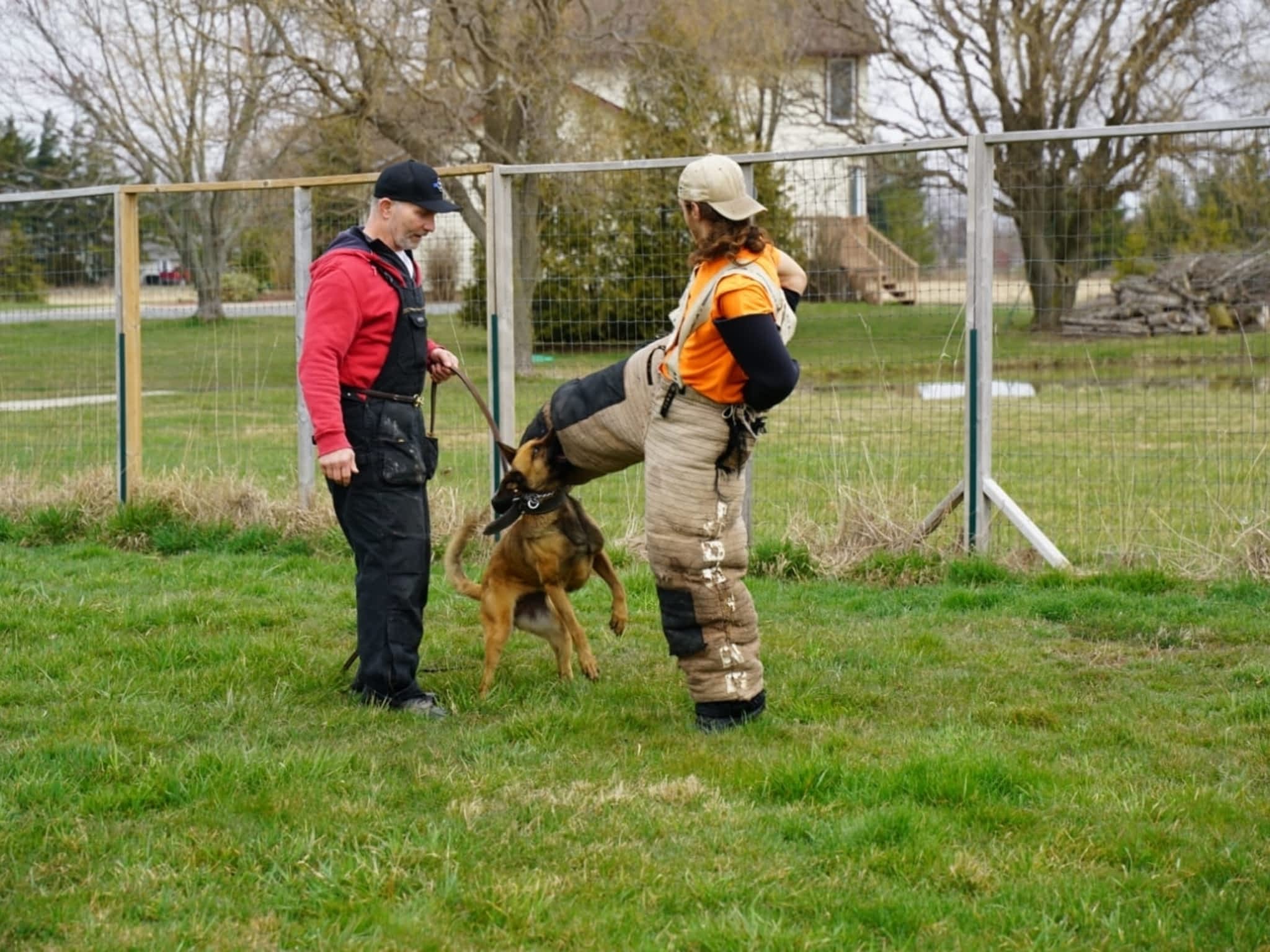 photo Command Control K-9