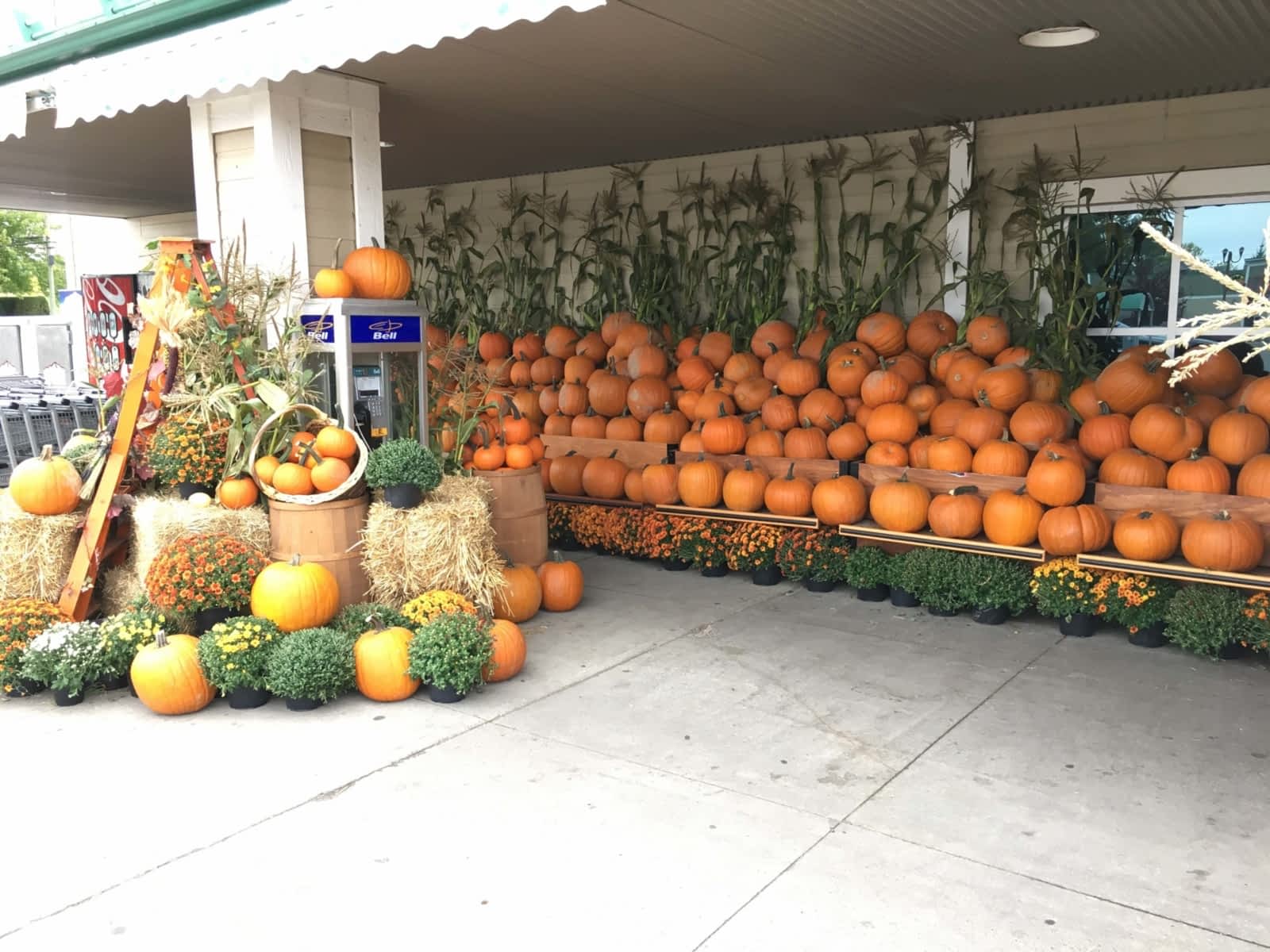 IGA Extra Horaire d'ouverture 3765, chemin d'Oka, SaintJosephduLac, QC