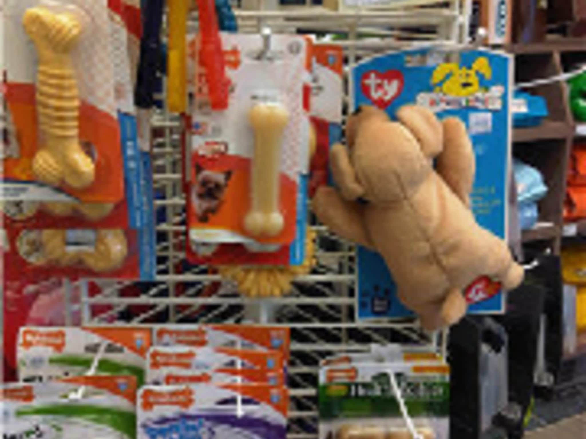 photo Middleton Veterinary Services