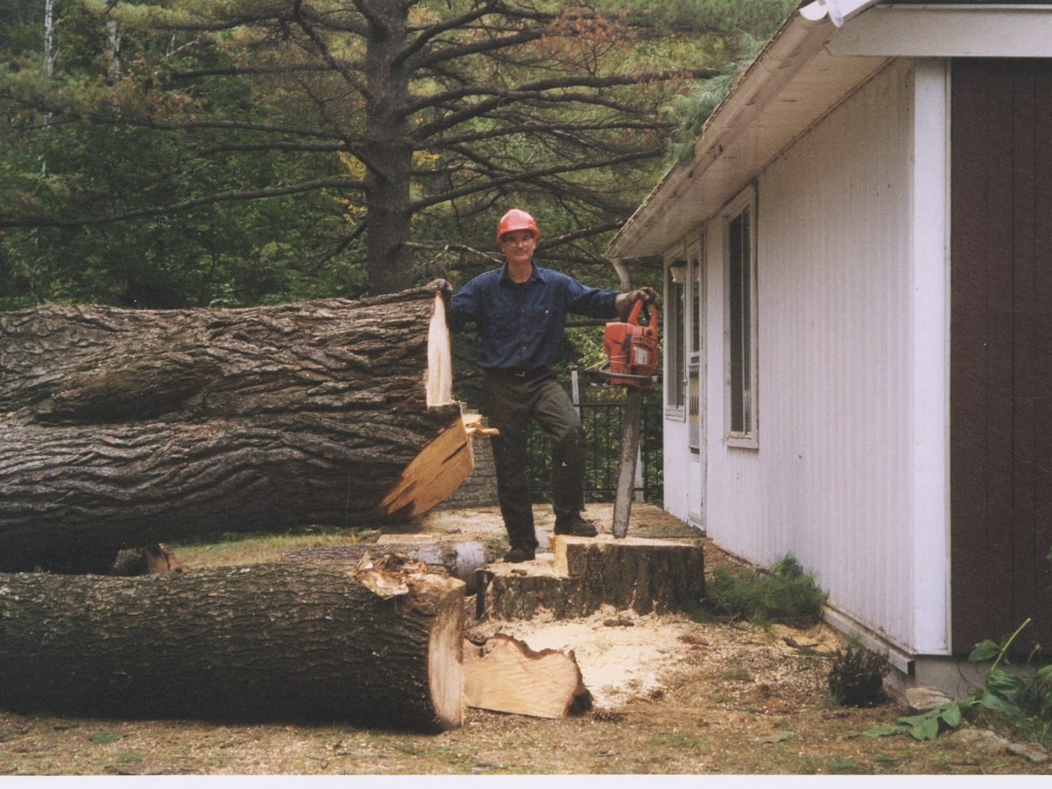 photo Sainte-Julienne's Tree Pruning and Felling