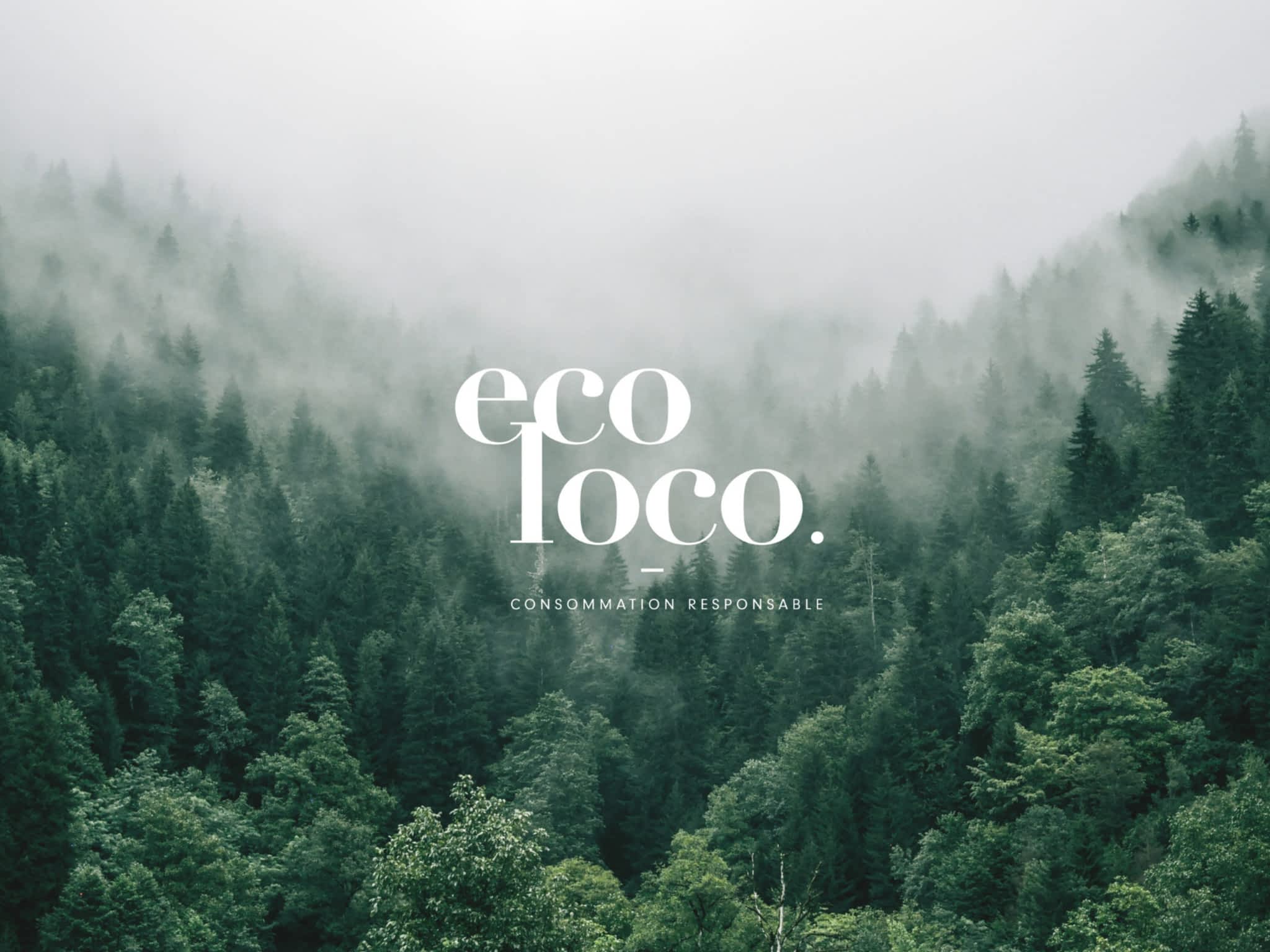 photo Eco Loco