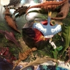 Montréal Image - Picture Frame Dealers