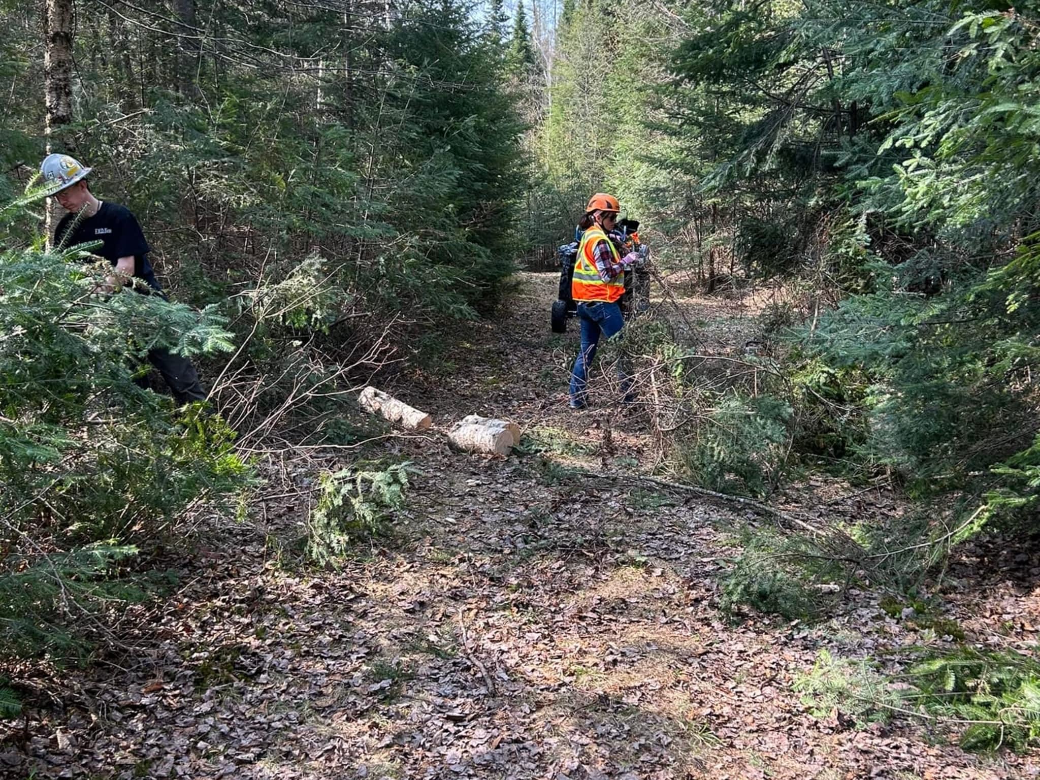 photo BEast Tree Service