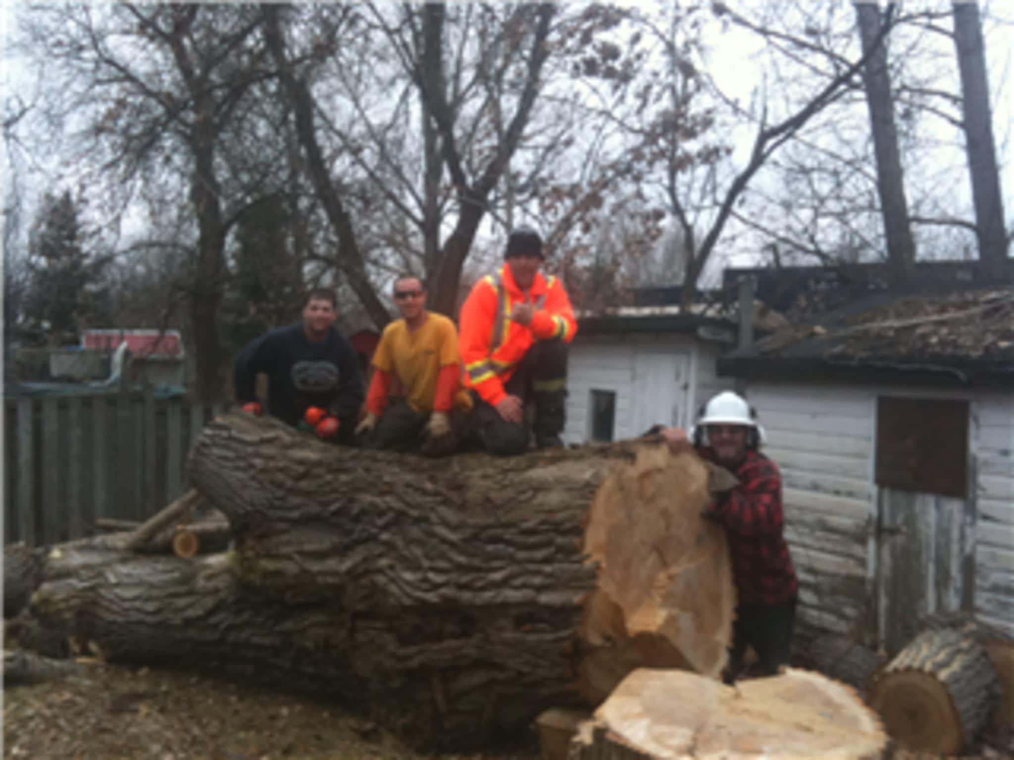 photo Allmac Tree Service