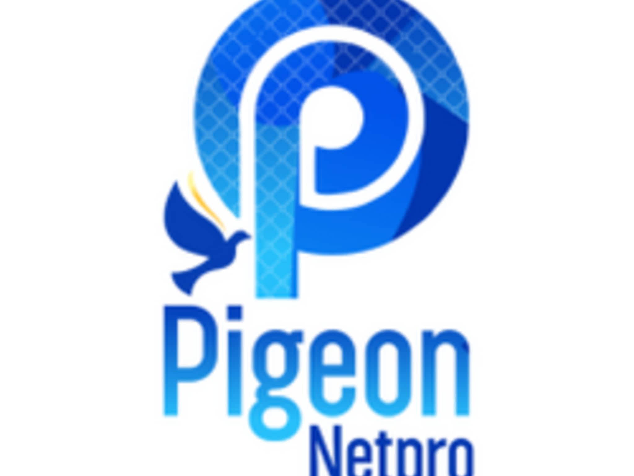 photo Pigeon Netpro - Balcony Netting Toronto