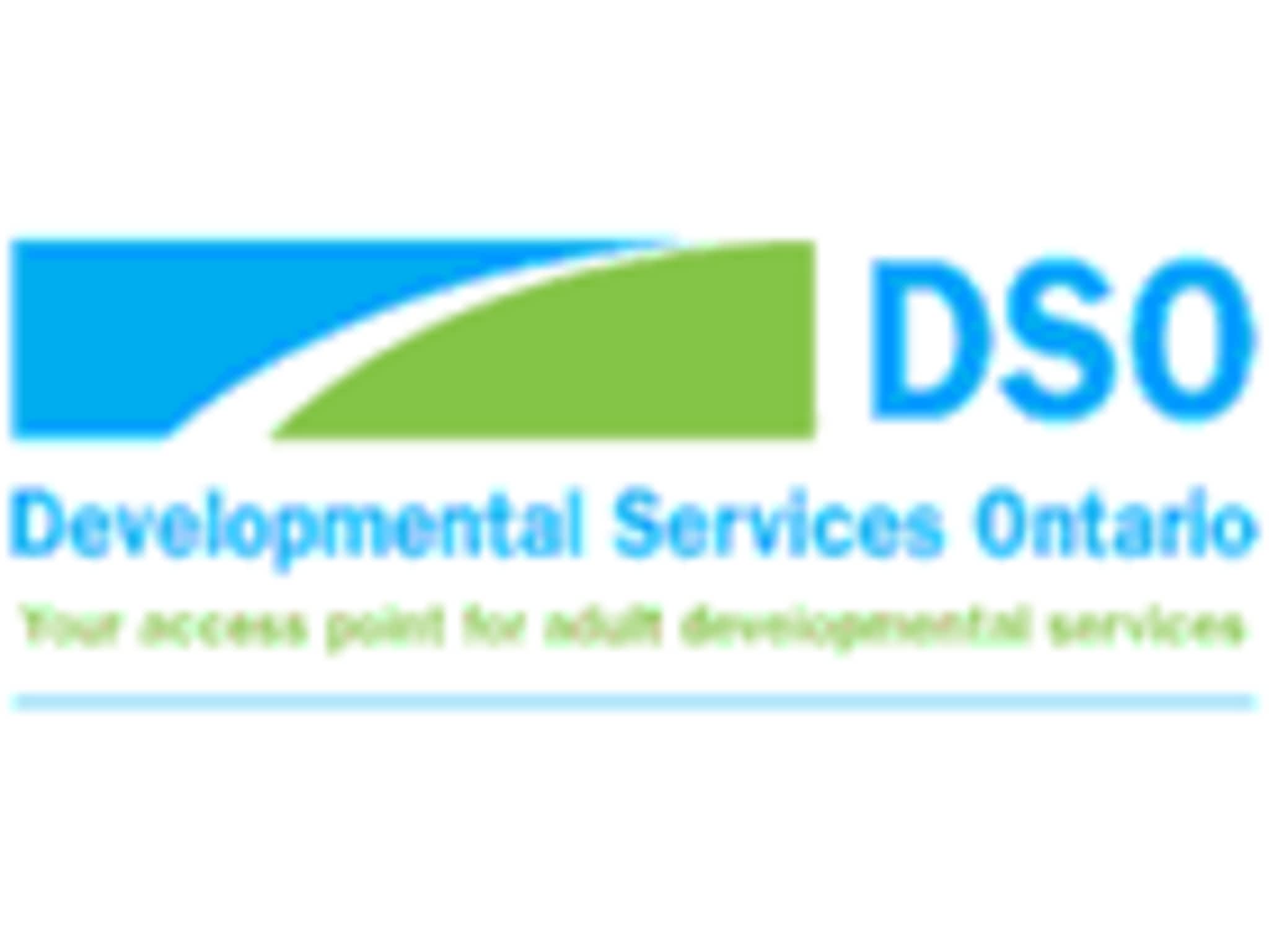 photo Developmental Services Ontario Hamilton-Niagara Region