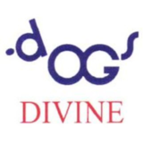View Dogs Divine’s St John's profile