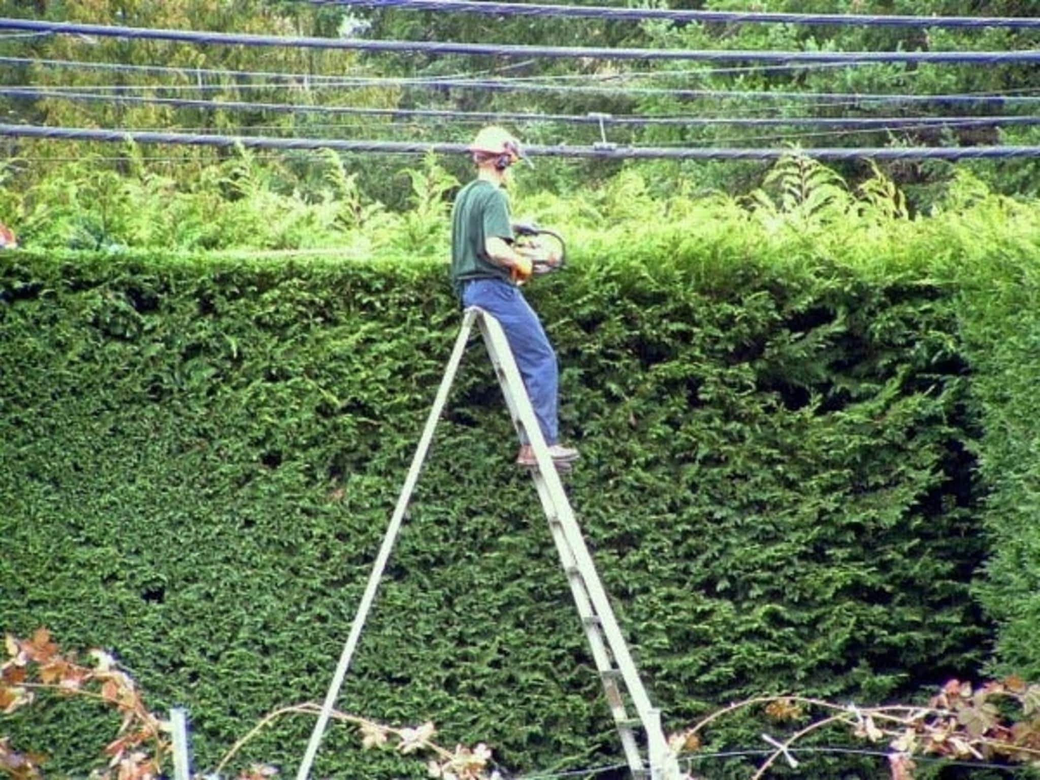 photo Harbourview Tree Experts