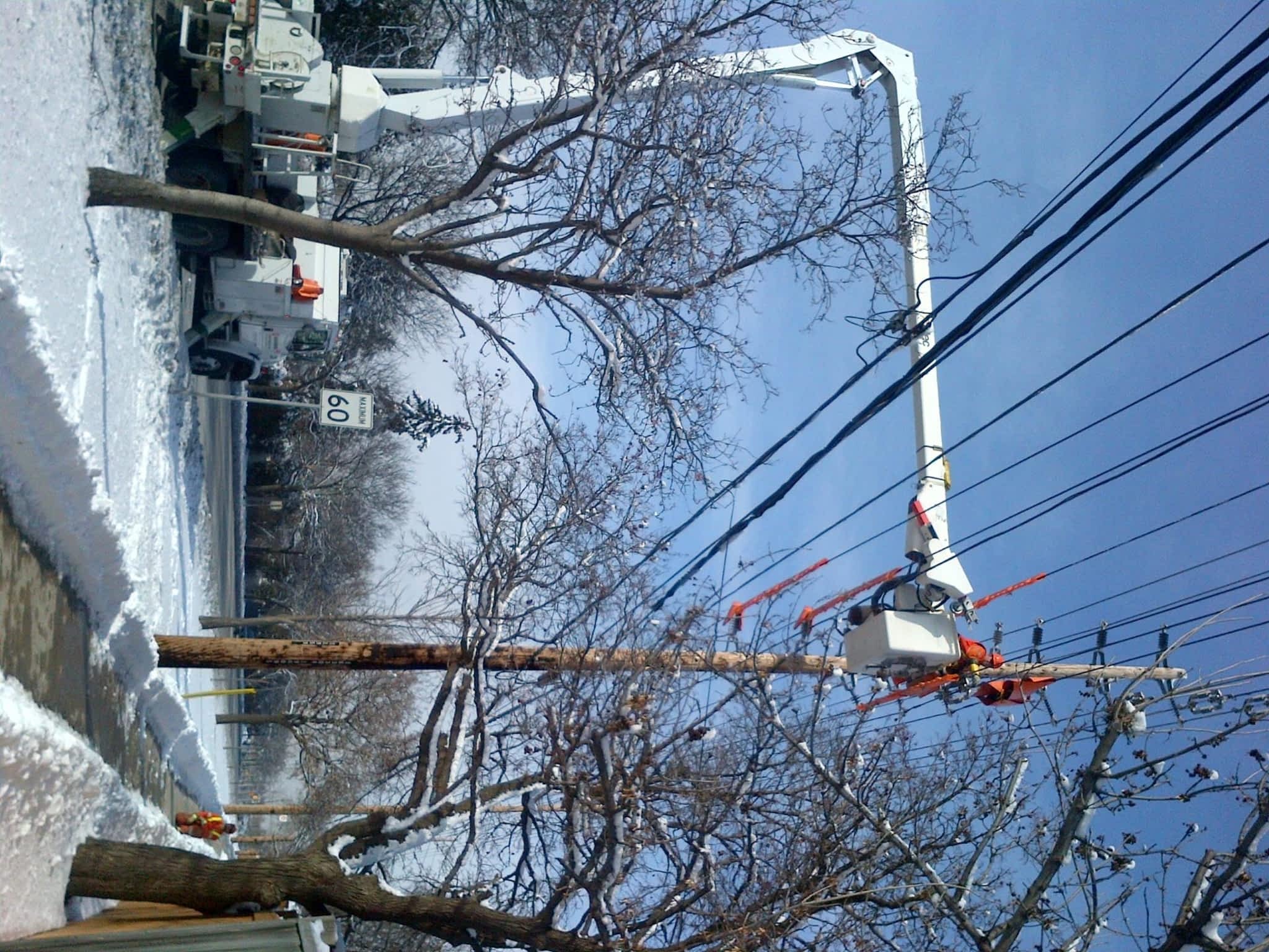 photo Performance Powerline Services