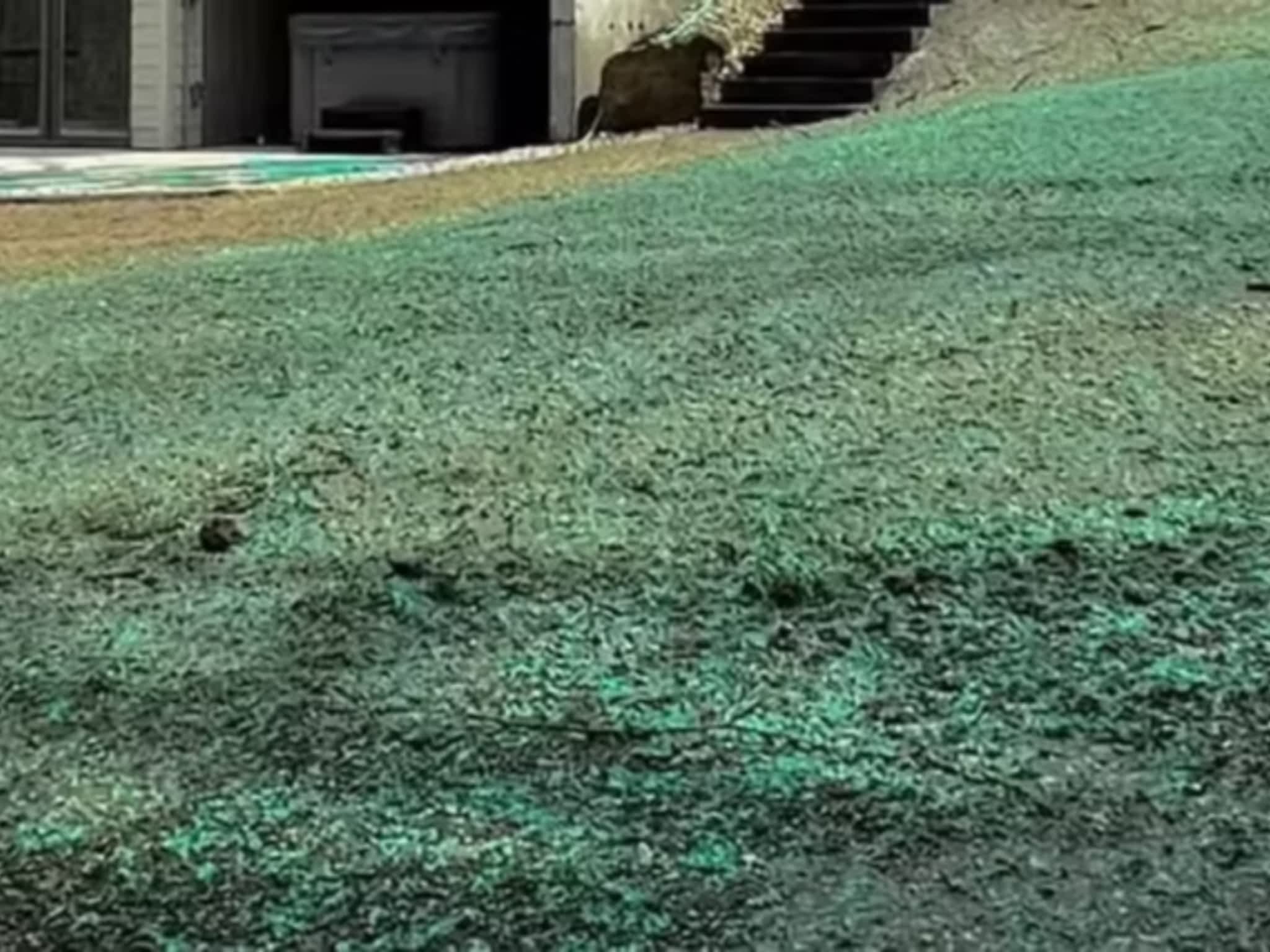 photo Western Hydroseeding