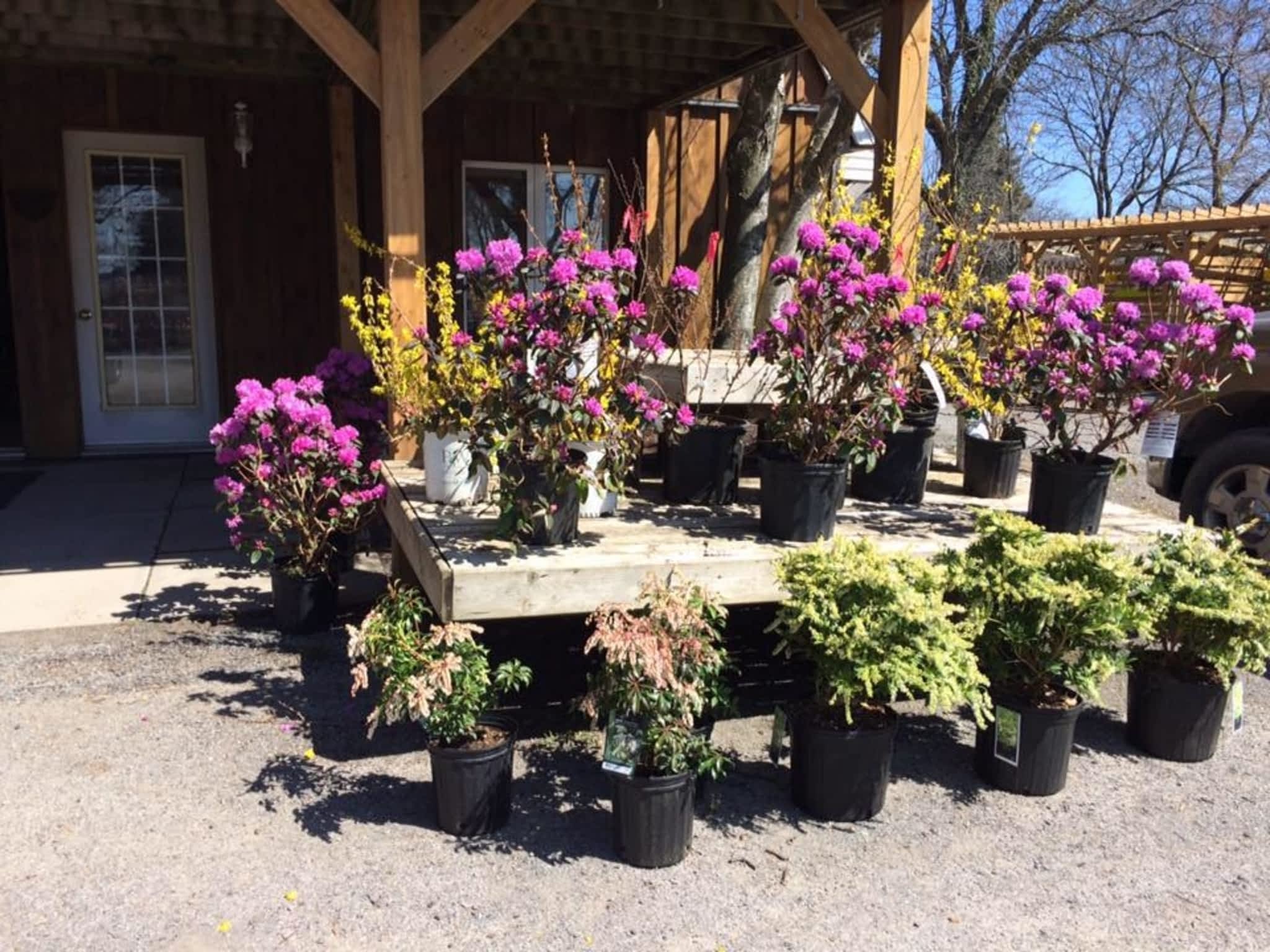 photo Gauld Nurseries Ltd