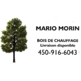 Voir le profil de Bois De Chauffage Mario Morin - Saint-Alphonse-Rodriguez