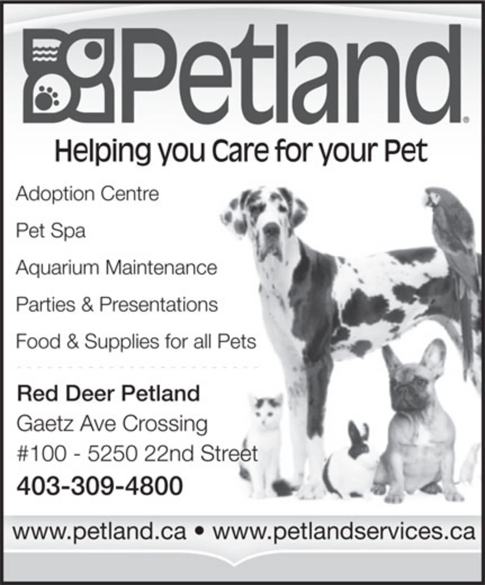 red deer pet stores