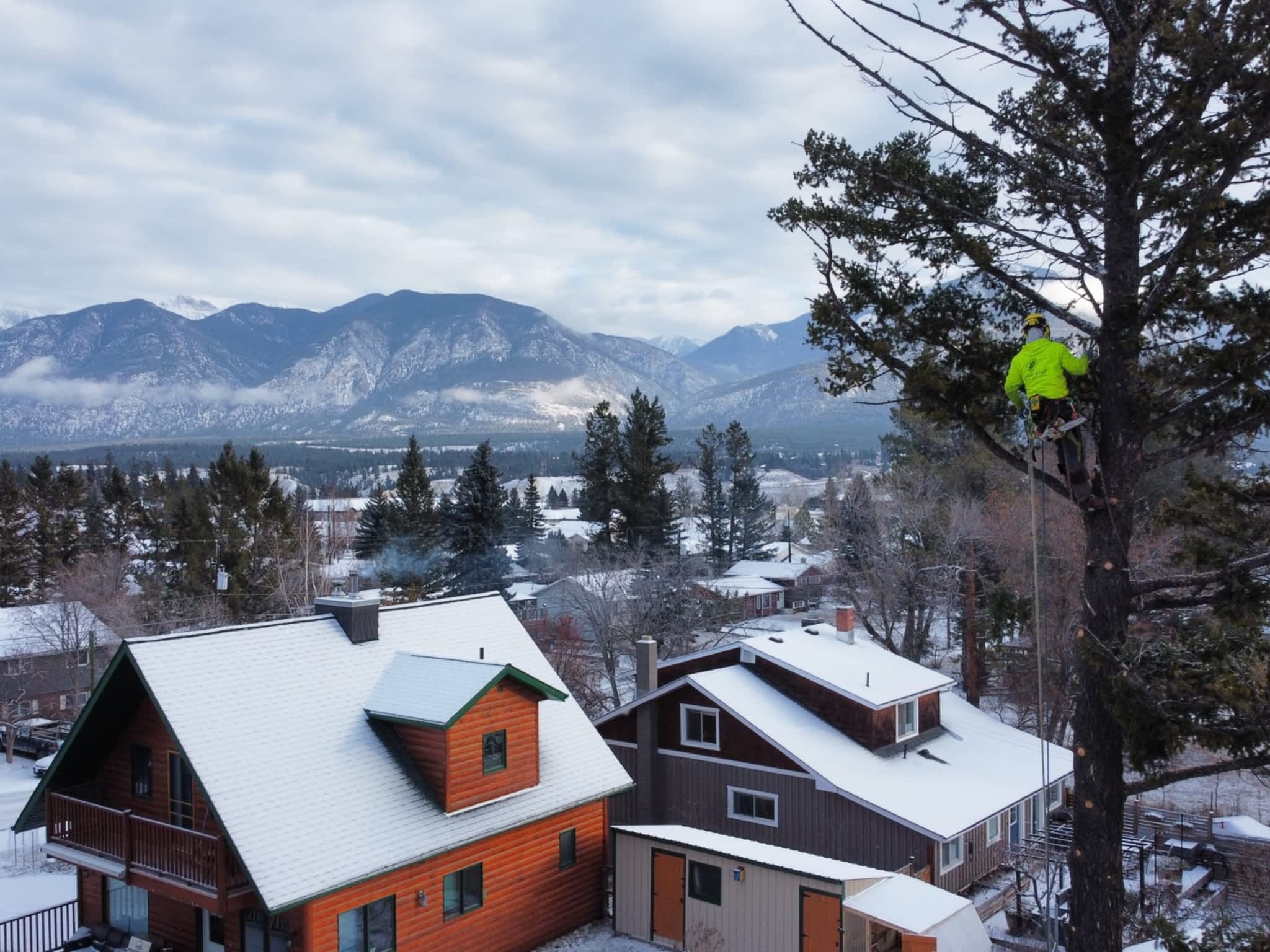 photo Green Leaf Tree Services