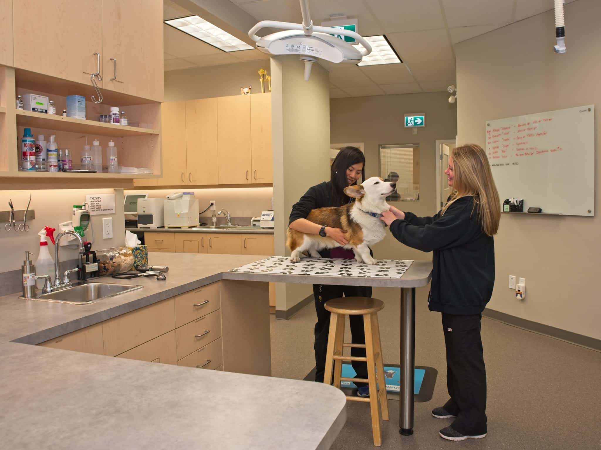 North Shore Veterinary Clinic North Vancouver, BC 227 Mountain Hwy