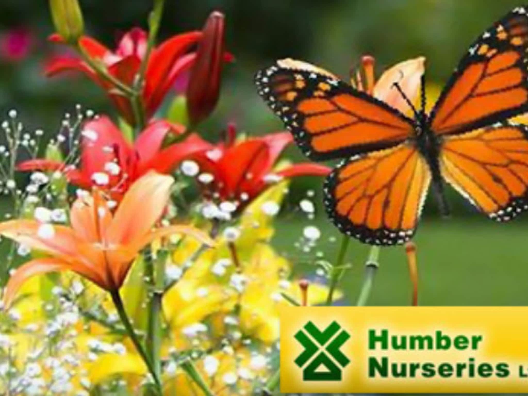 photo Humber Nurseries Ltd