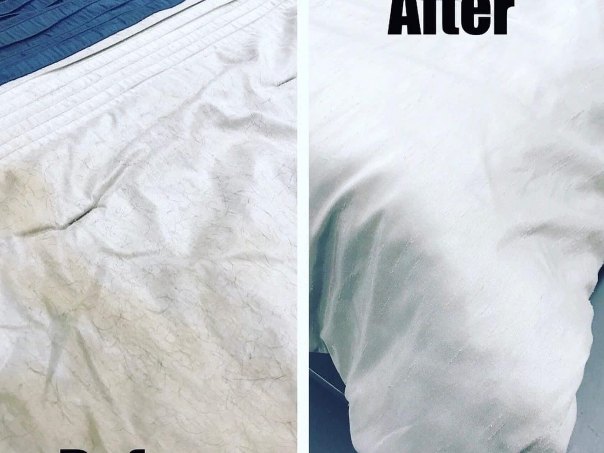 photo North Shore Laundry Services