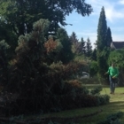 Top Cut Tree Service - Tree Service