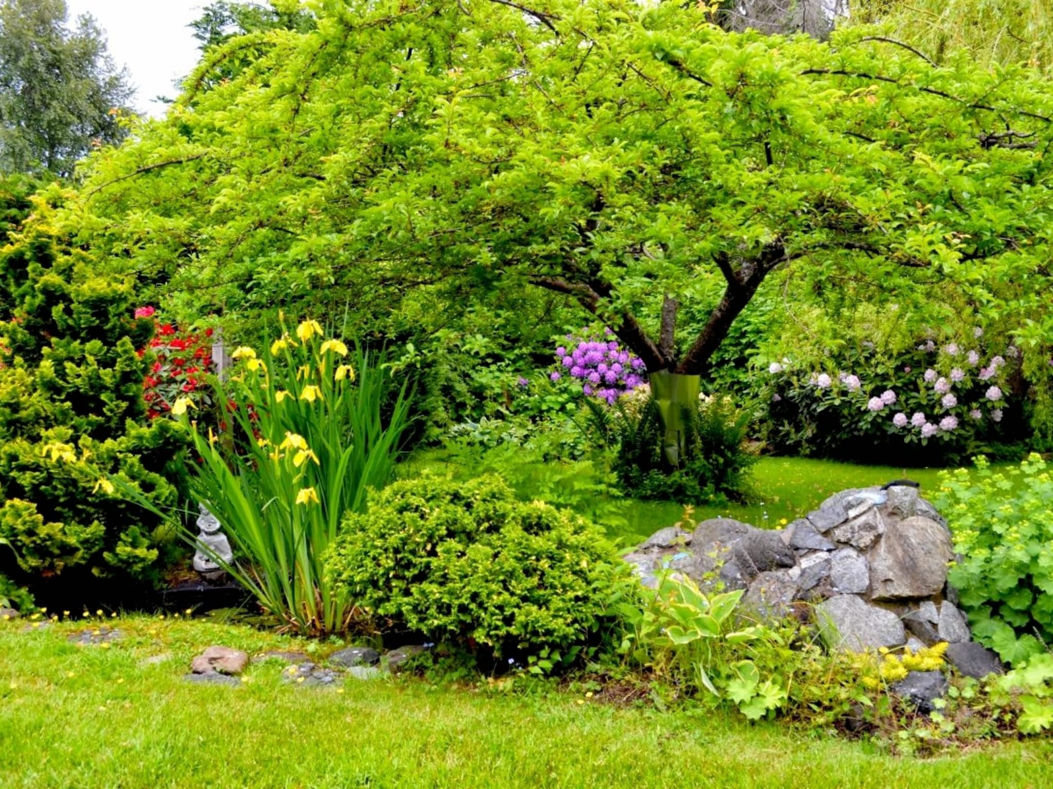 photo Harmony Pruning Service