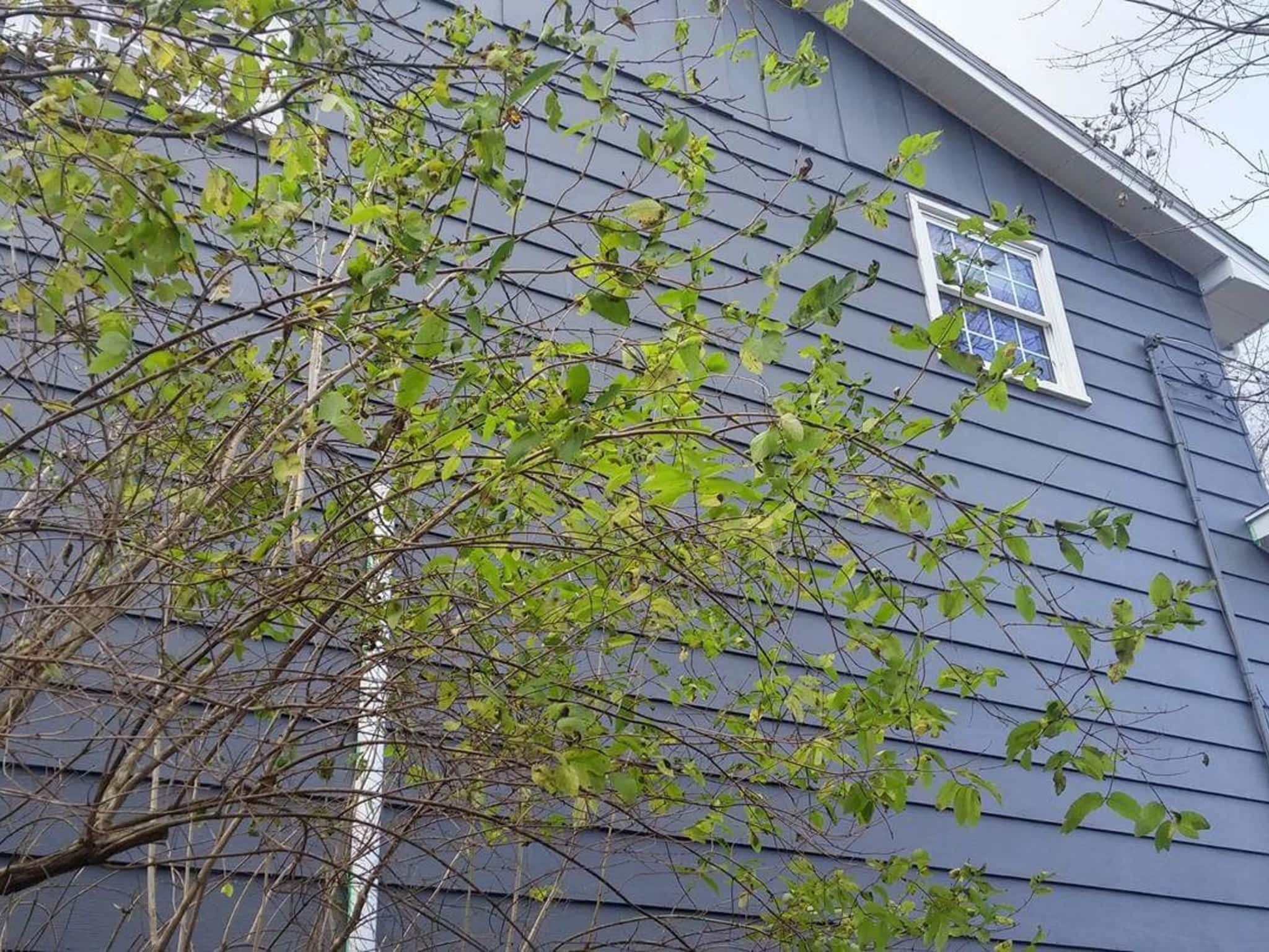 photo Irongate Contracting