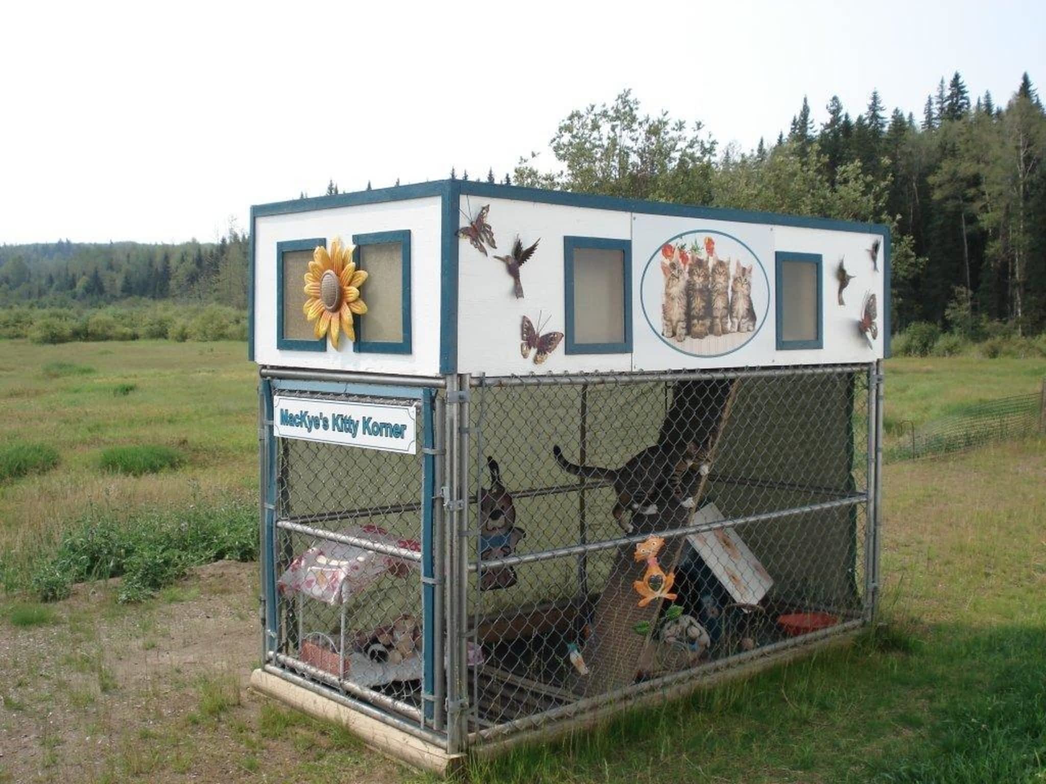 Mackye Kennels Prince BC 7955 Old Summit Lake Rd Canpages