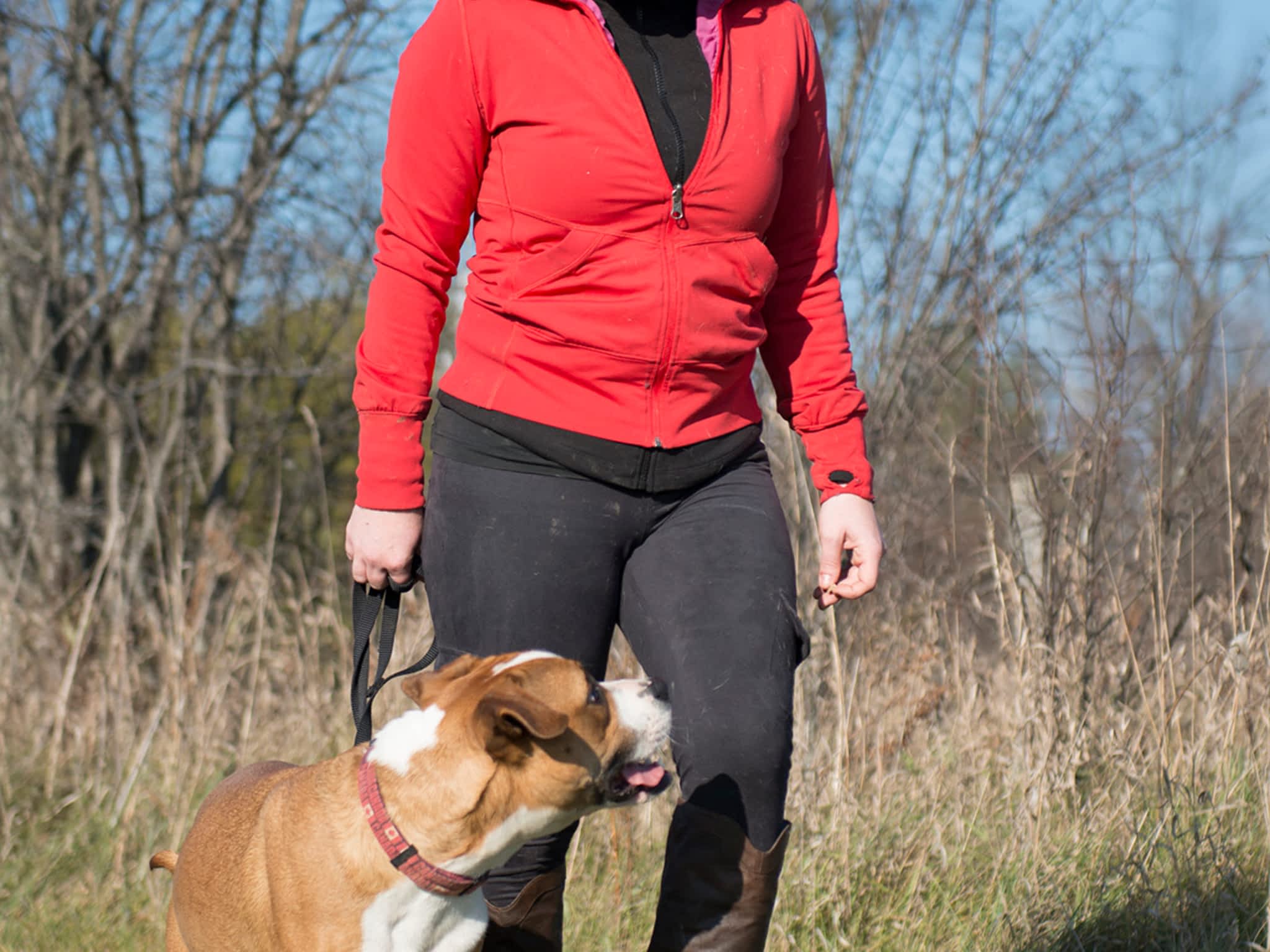 photo Pet Intel Behaviour Centre