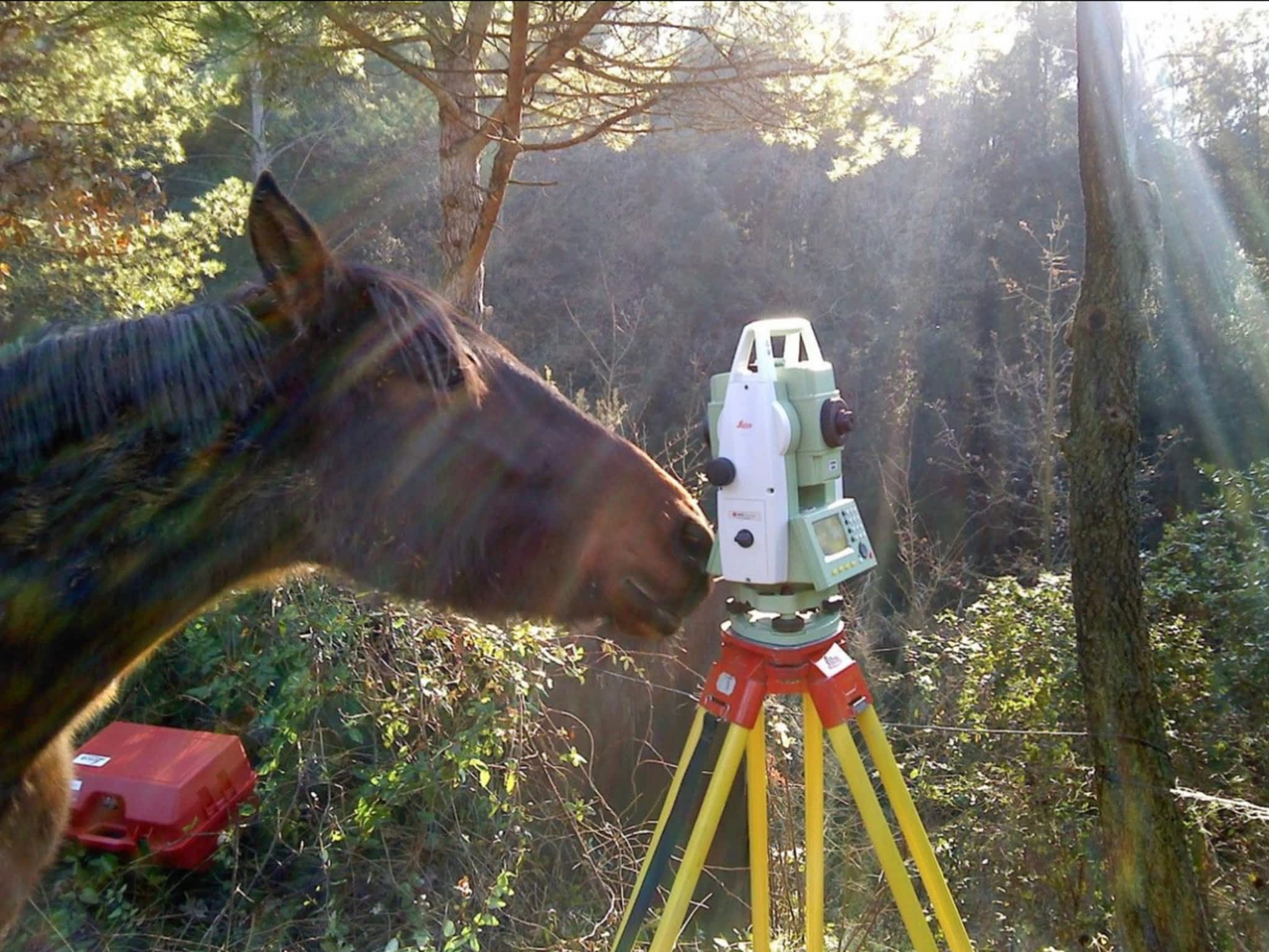photo Resendes Surveyors Inc
