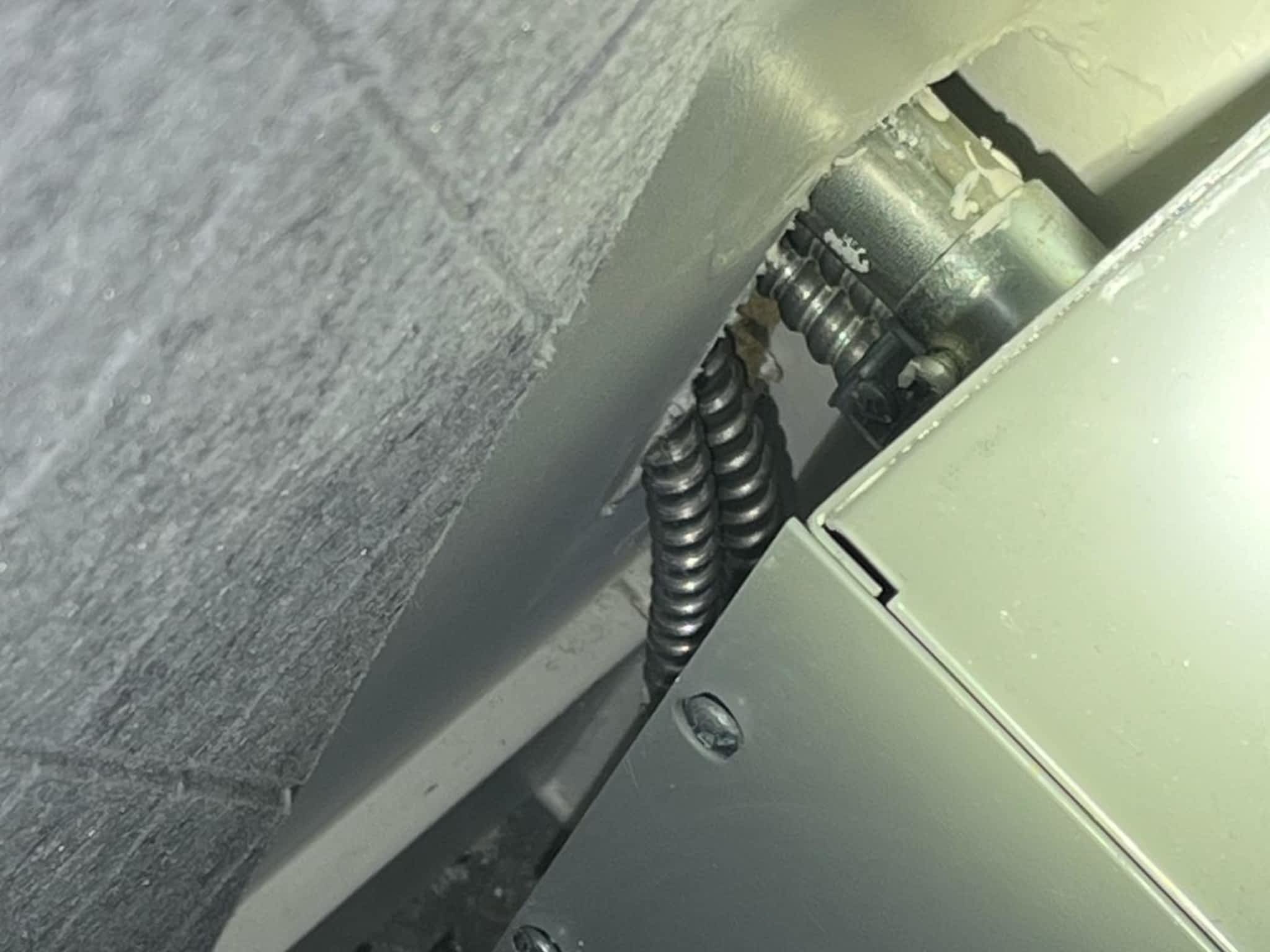 photo Phantom Pest Control Maple Ridge