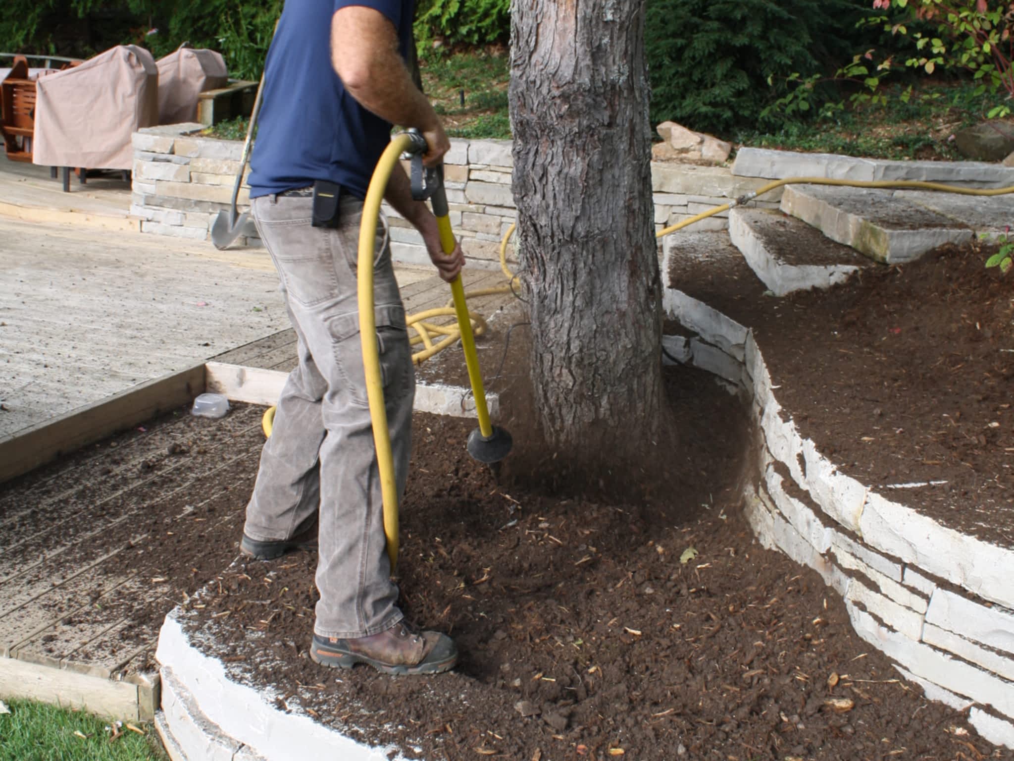 photo Logan Tree Experts