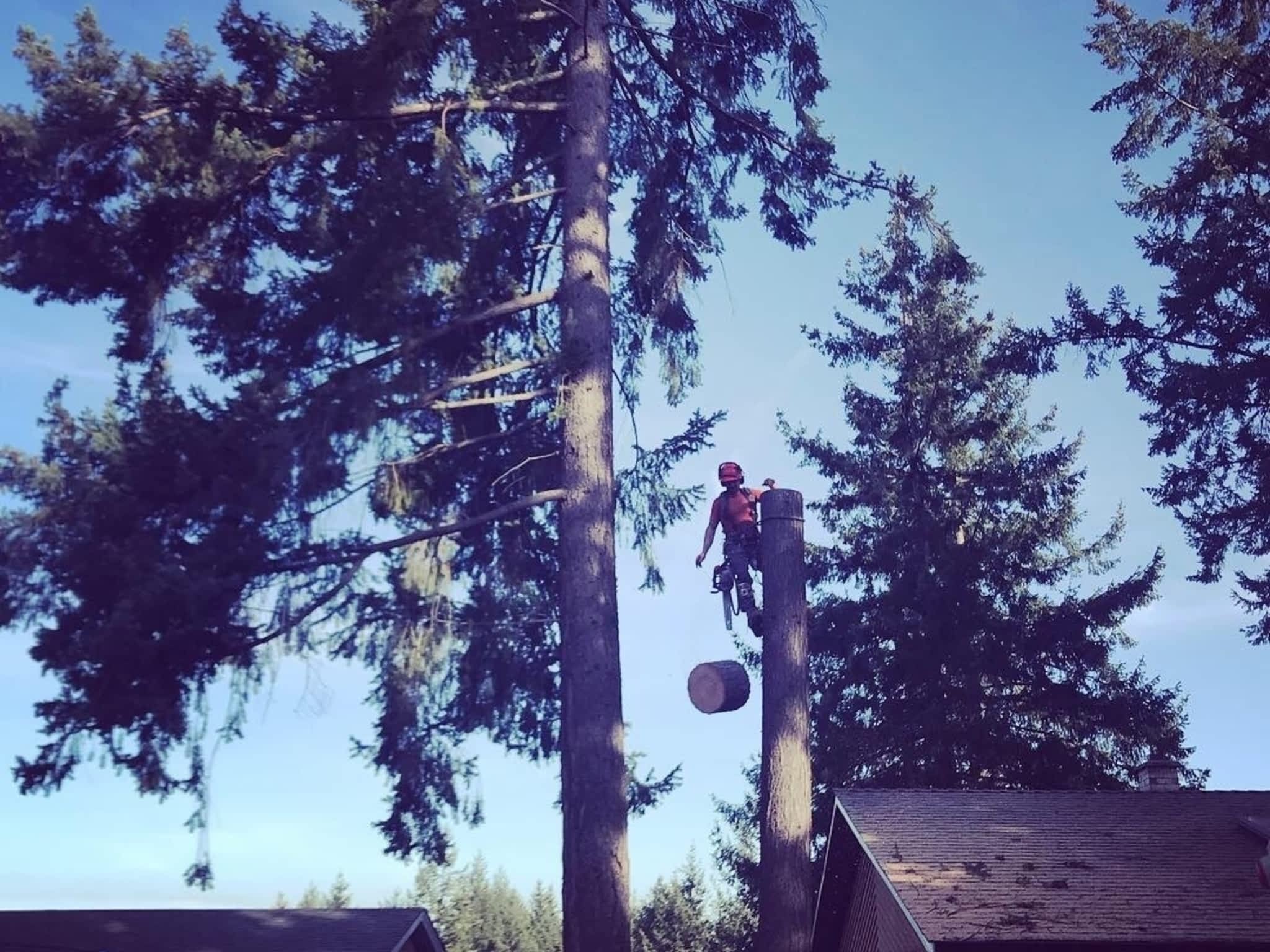 photo Onsight Tree Services