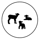 Three Lambs Baby Boutique - Logo