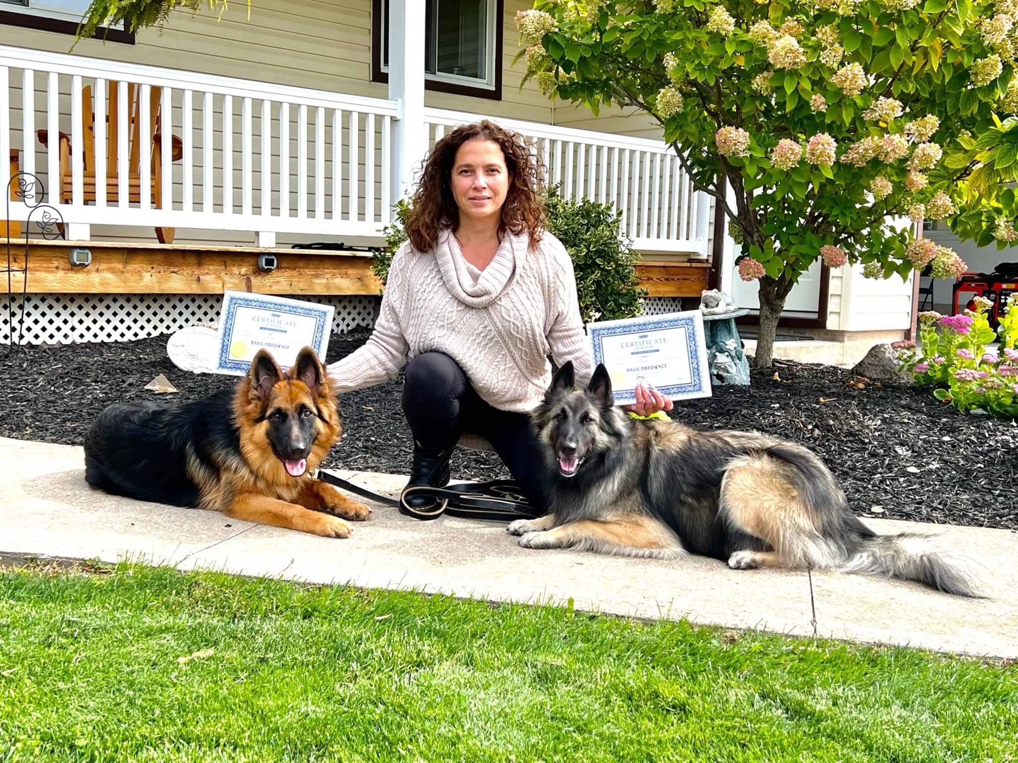 photo Command Control K-9