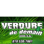 Verdure De Demain (2006) S.A. - Déneigement