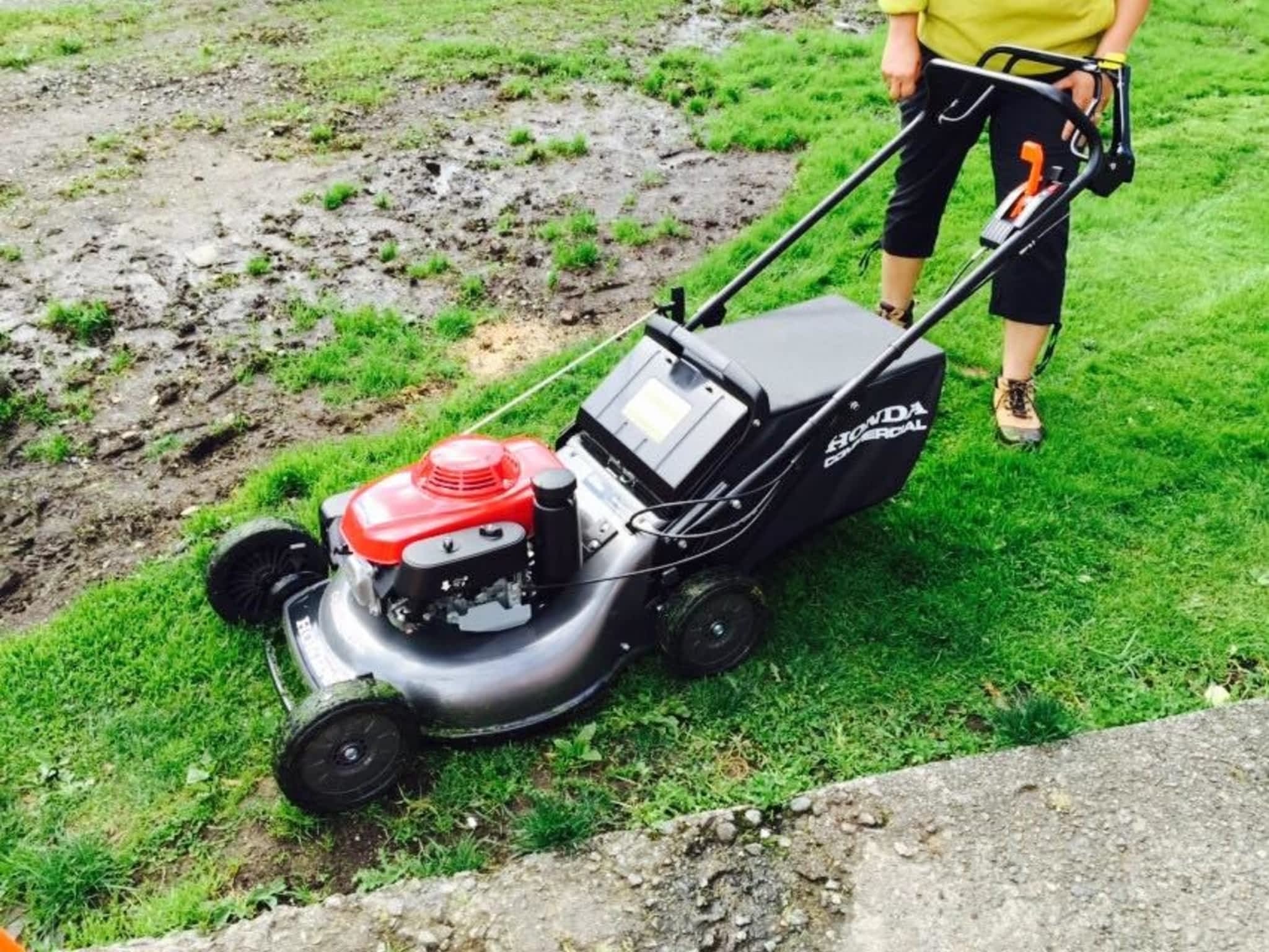 photo Adam's Lawn & Yard Maintenance