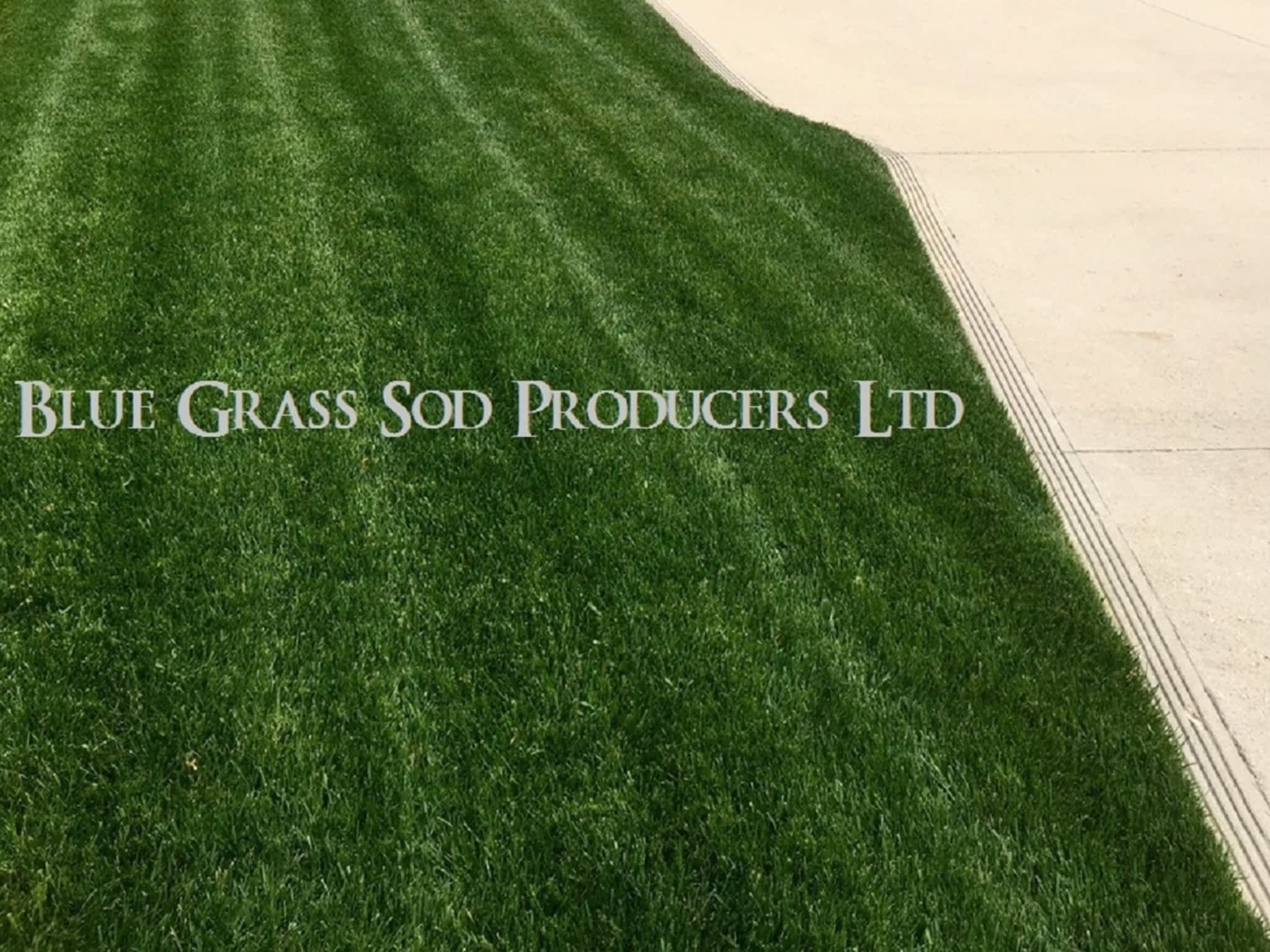 photo Blue Grass Sod Producers Ltd