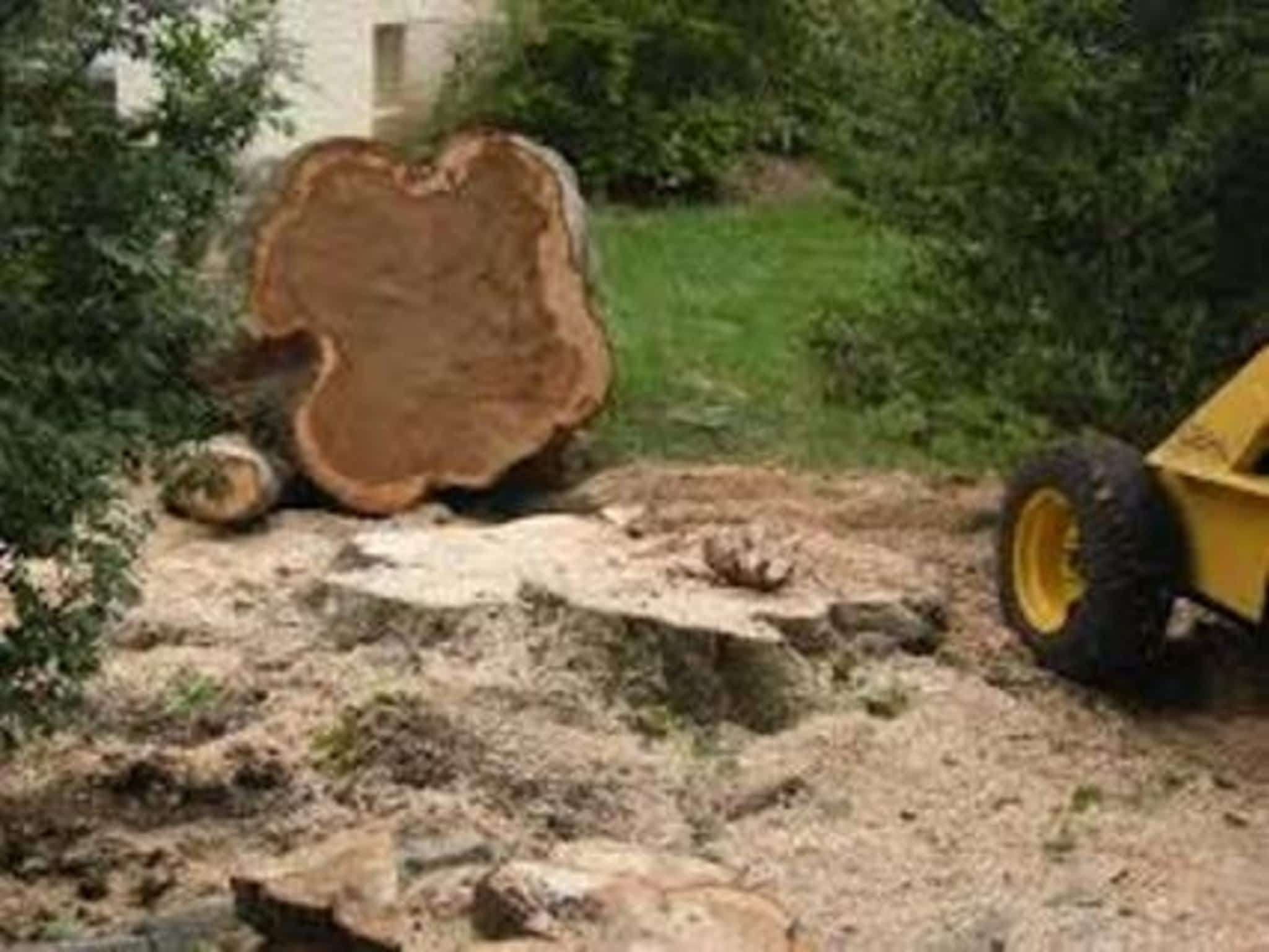 photo Mark's Property Maintenance