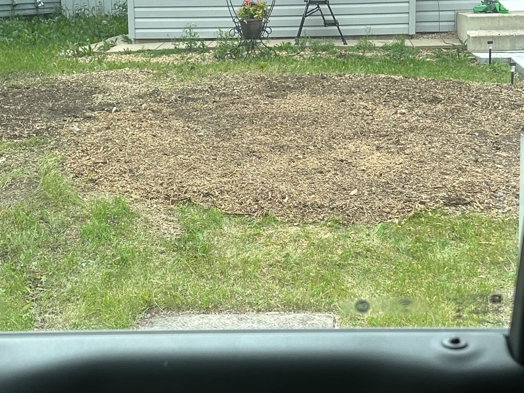 photo Grindpro tree stump grinding