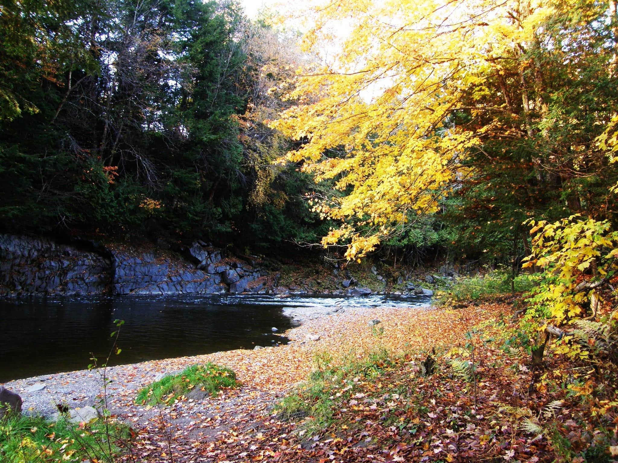 photo Camping Du Pont Couvert