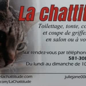 Salon De Toilettage La Chattitude Opening Hours 3055 Boul Hamel Quebec Qc