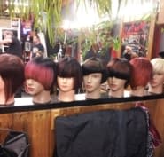 Best Little Hair House - Opening Hours - 468 Main Street, Penticton, BC Best Little Hair House - Opening Hours - 468 Main Street, Penticton, BC