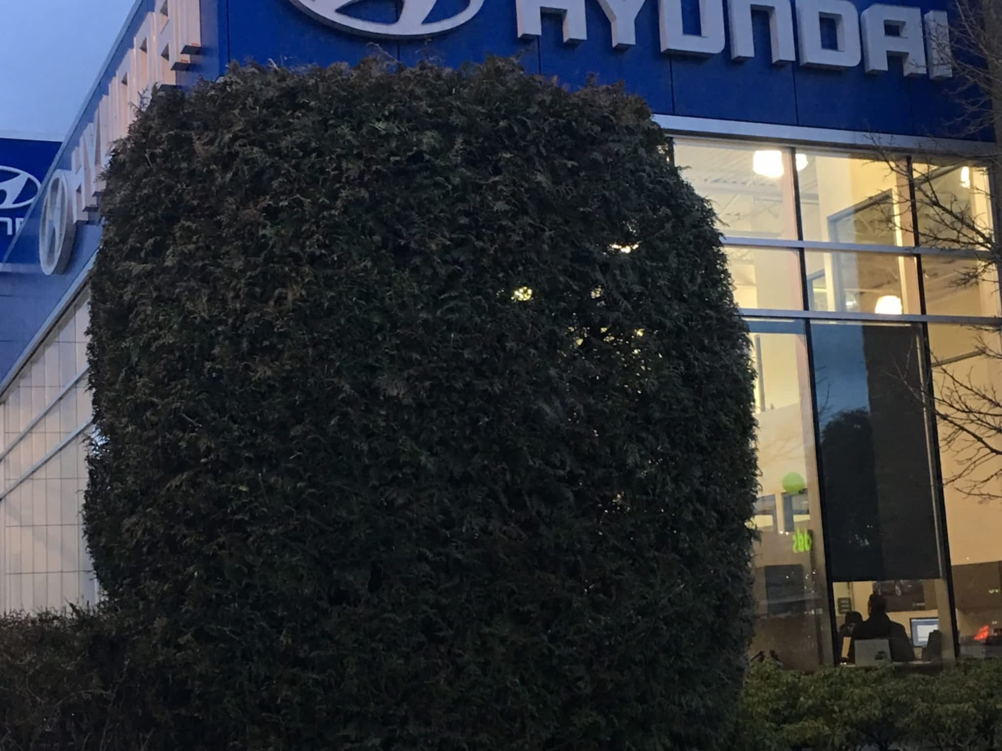 photo Jim Pattison Hyundai Coquitlam