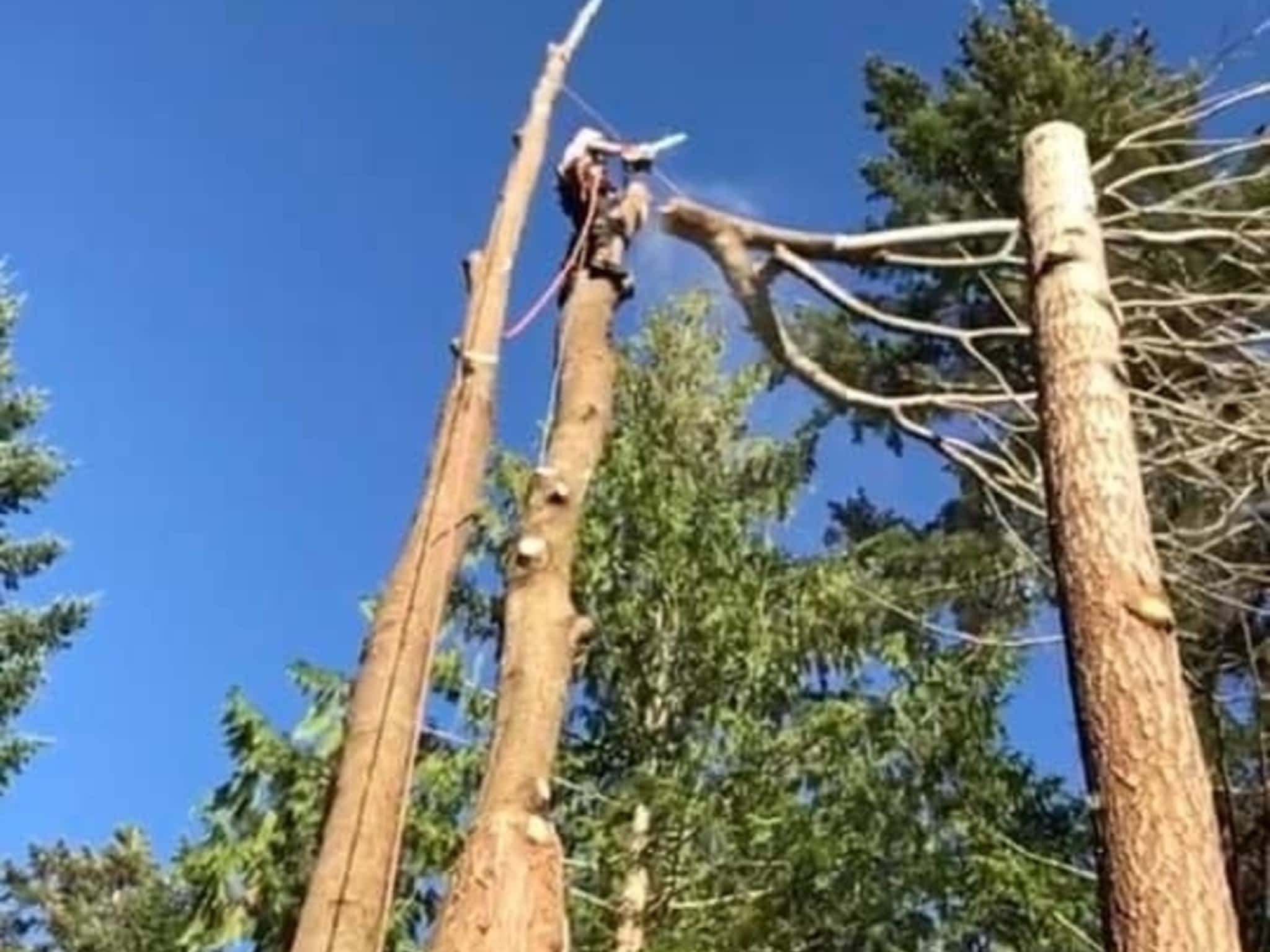 photo Flex Tree Service