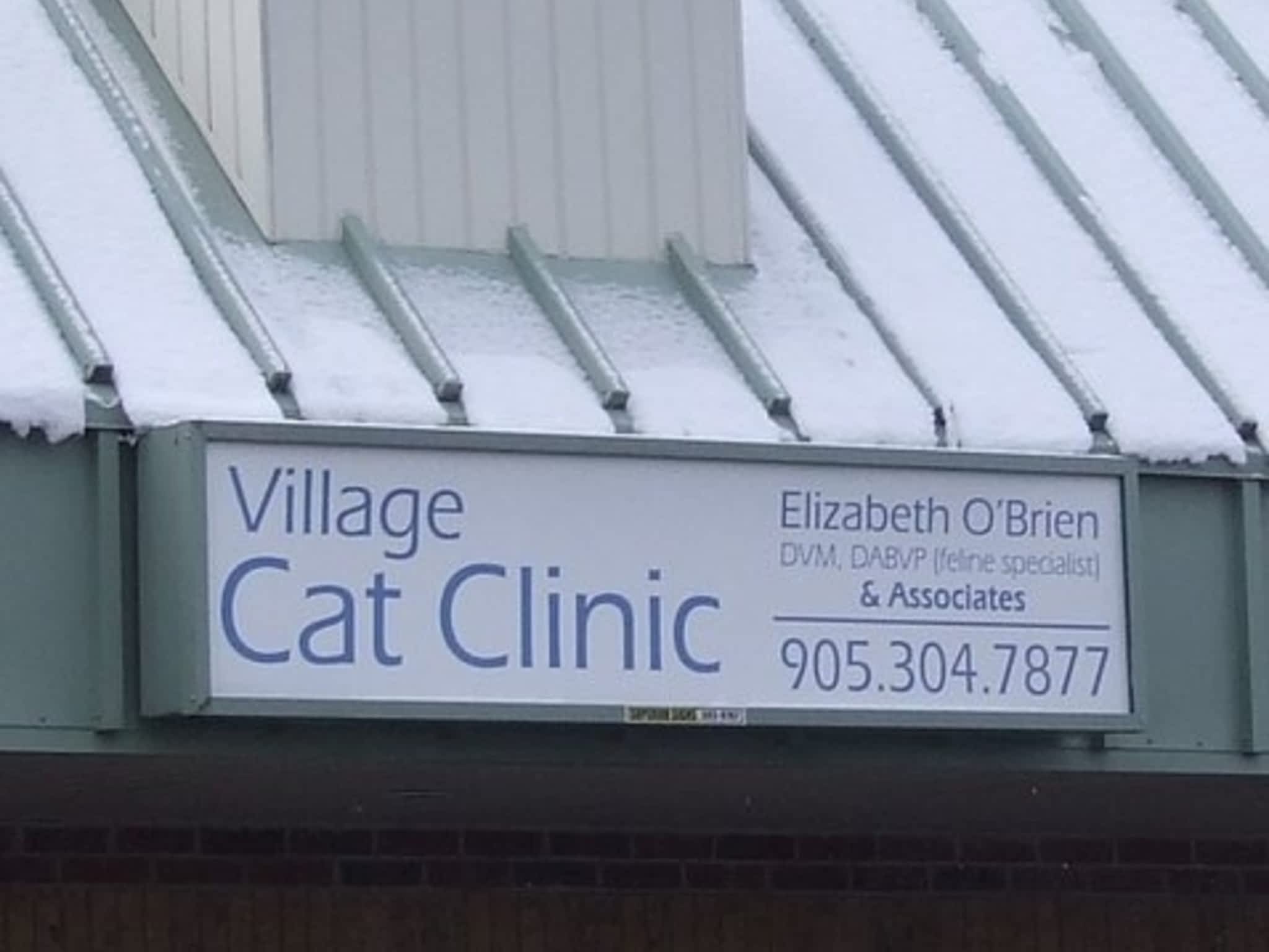 photo Village Cat Clinic
