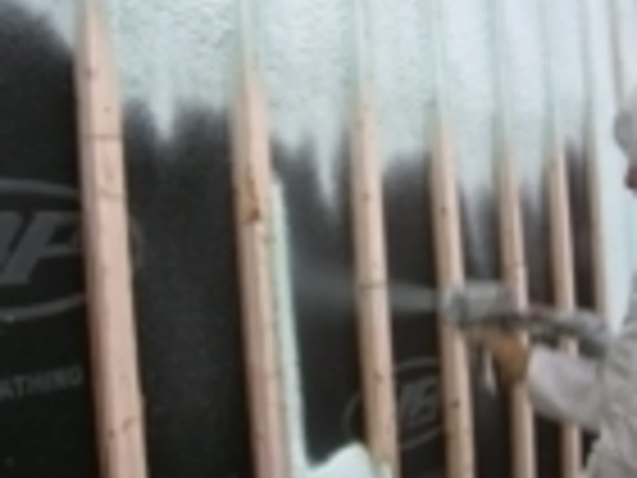 photo Vert Isolation