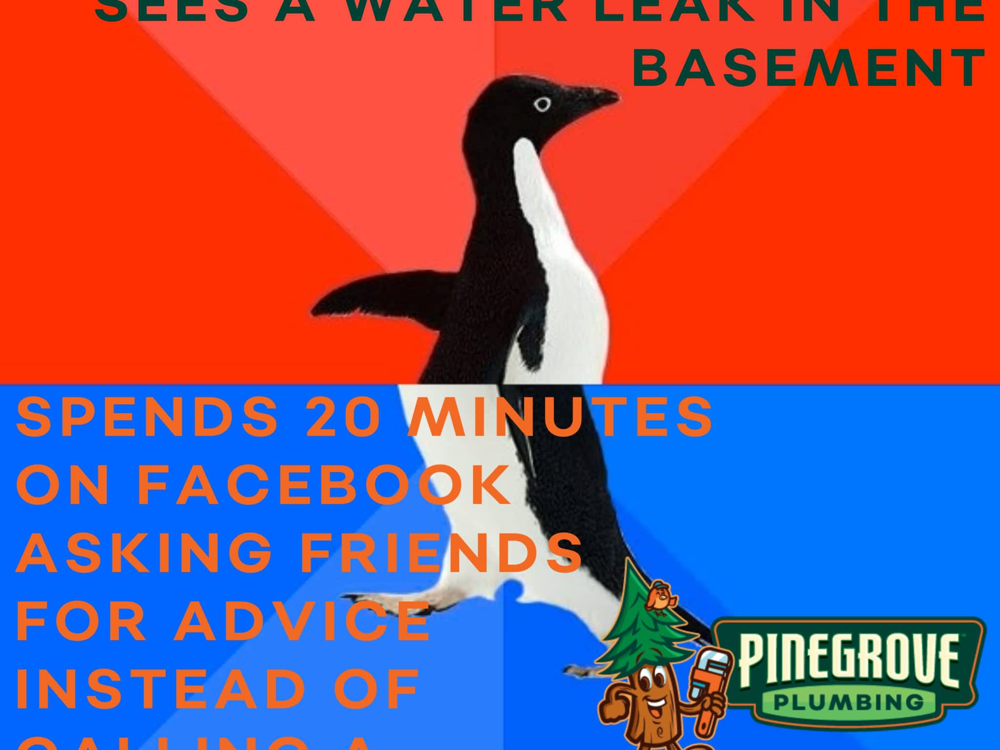 photo Pinegrove Plumbing