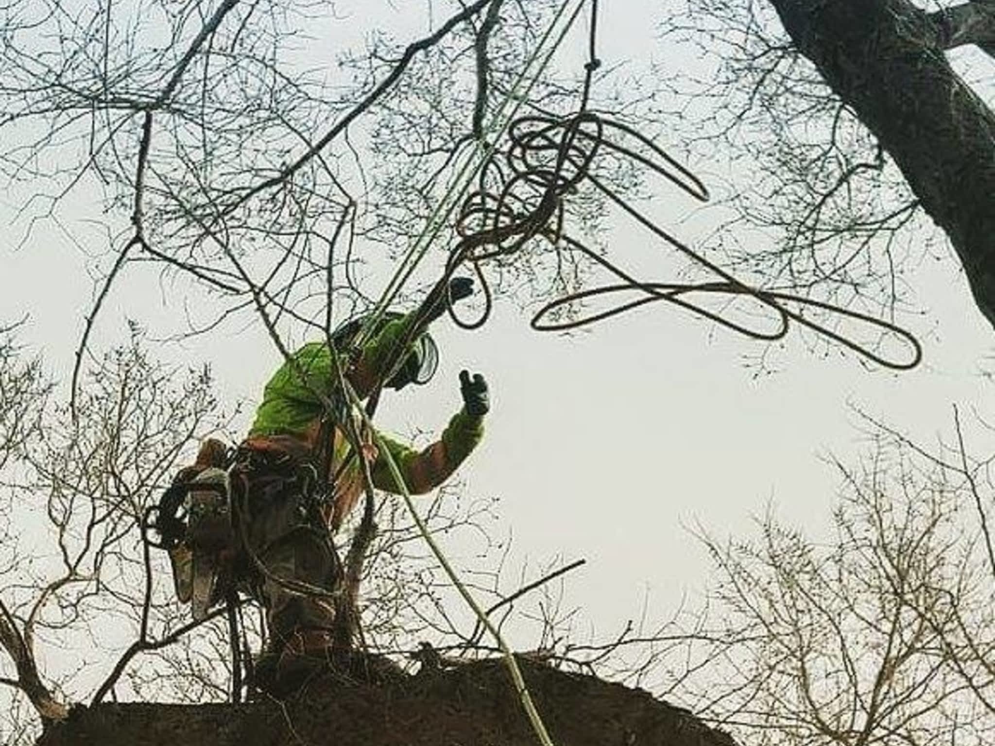 photo Second Nature Tree Care